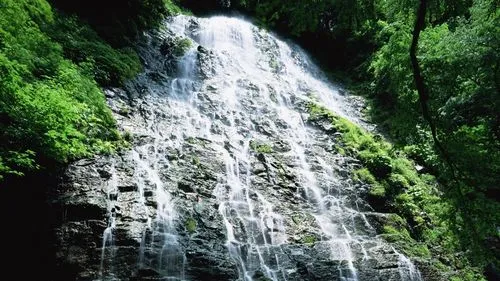 高性能高标准